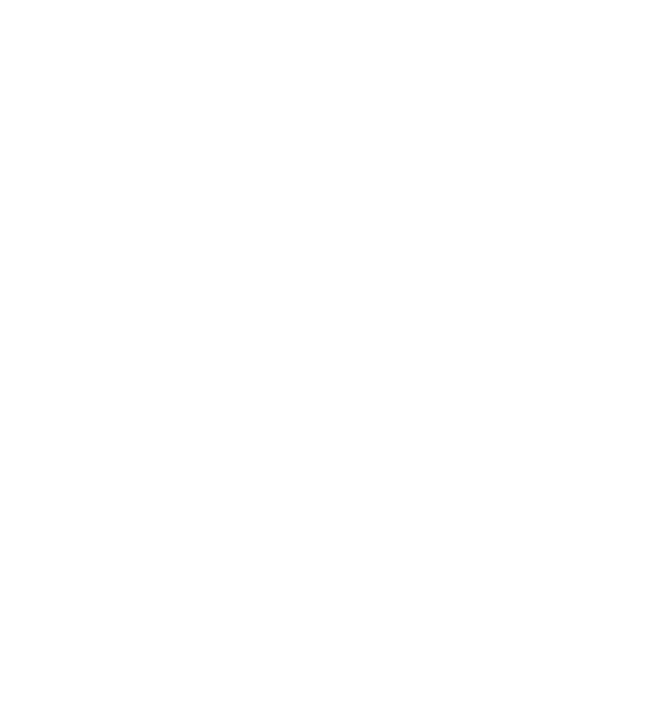 Reicosmetics: Unveiling the Art of J-Beauty & Clean Formulations